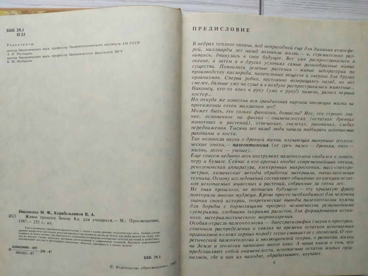 Product image preview