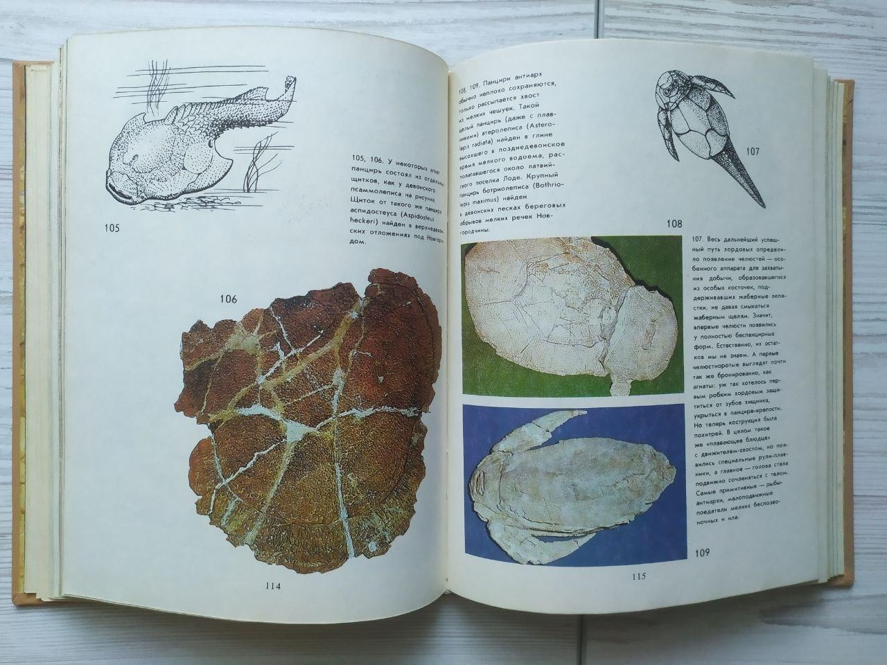 Product image preview