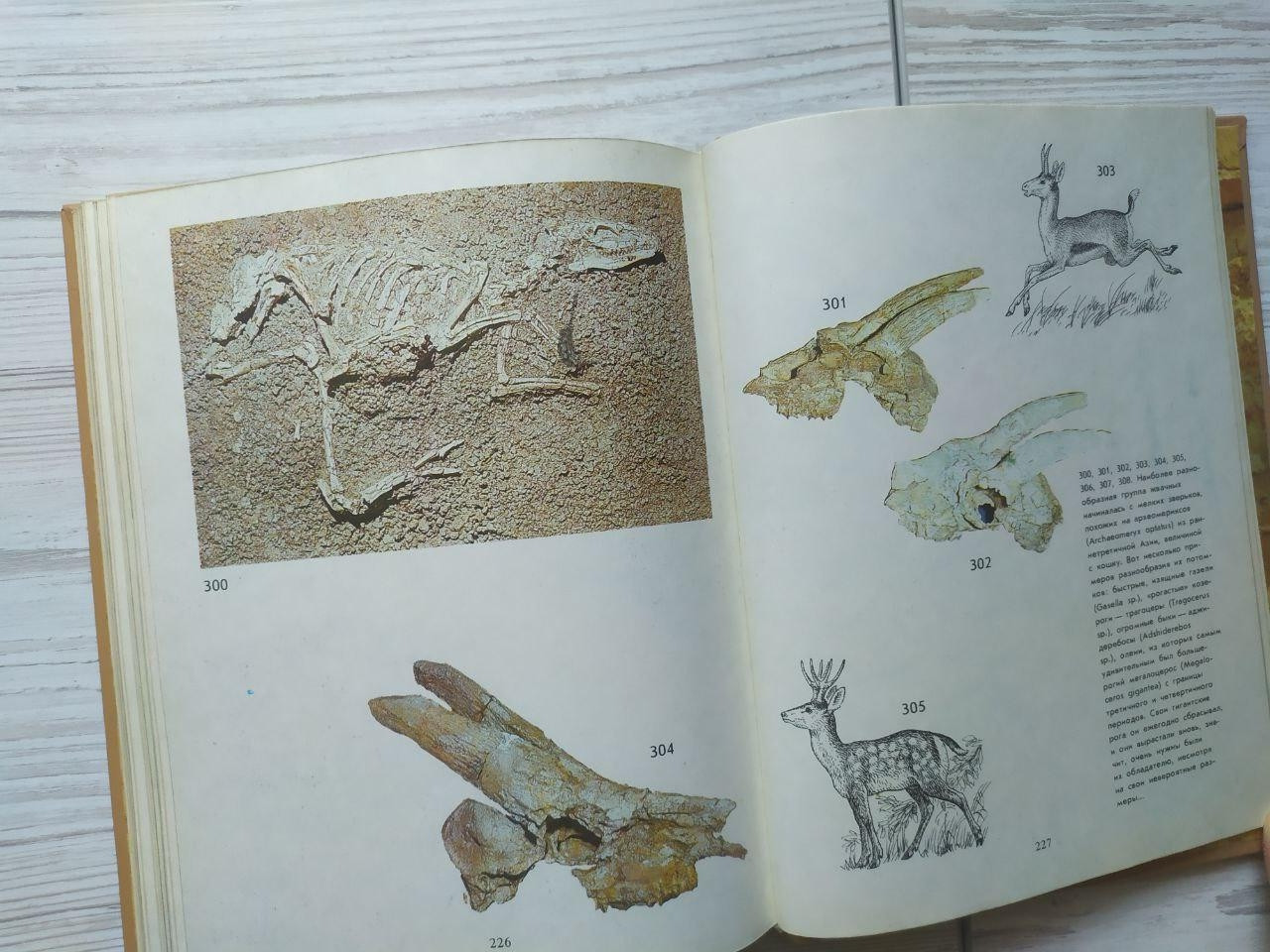 Product image preview