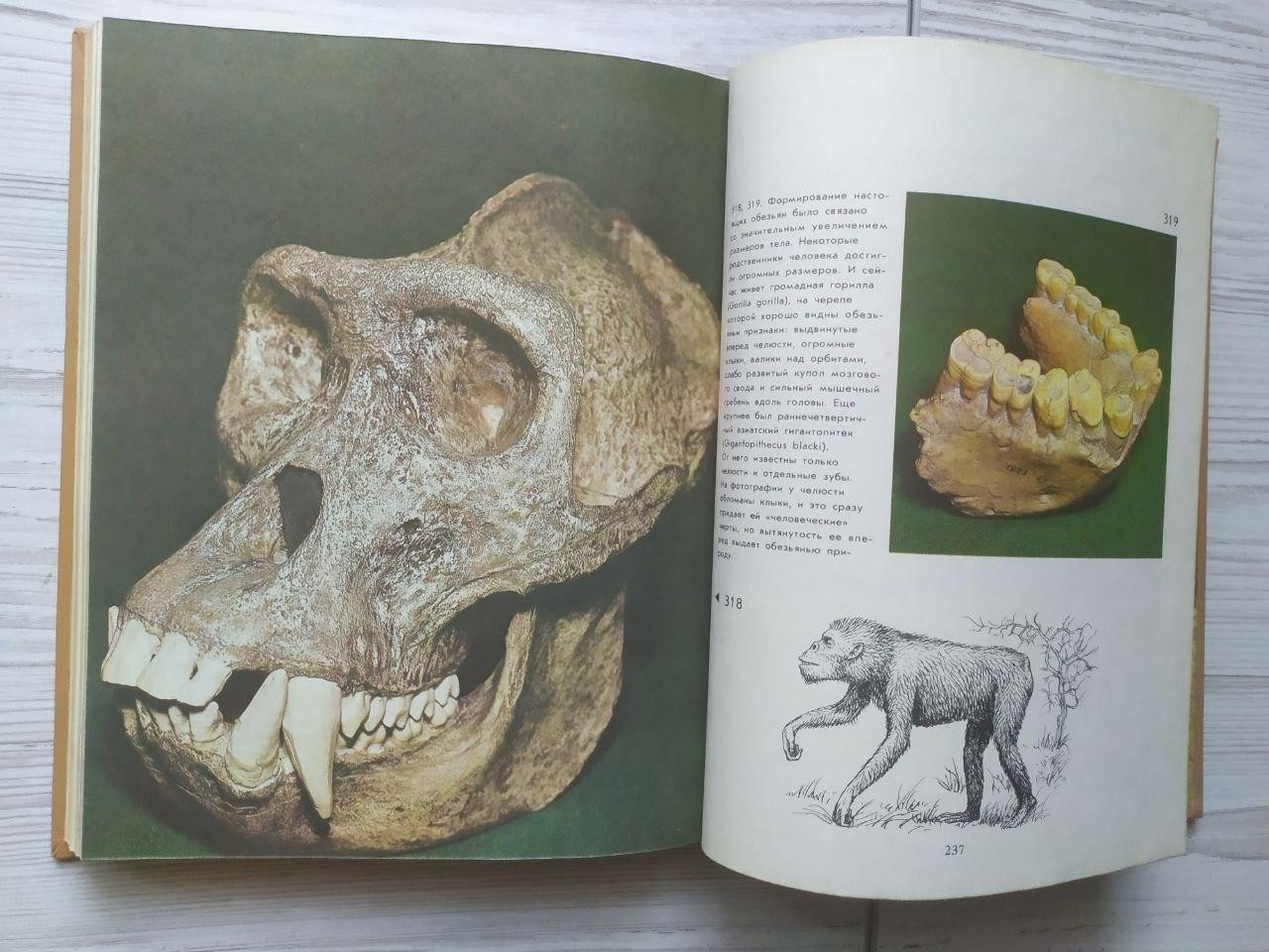 Product image preview