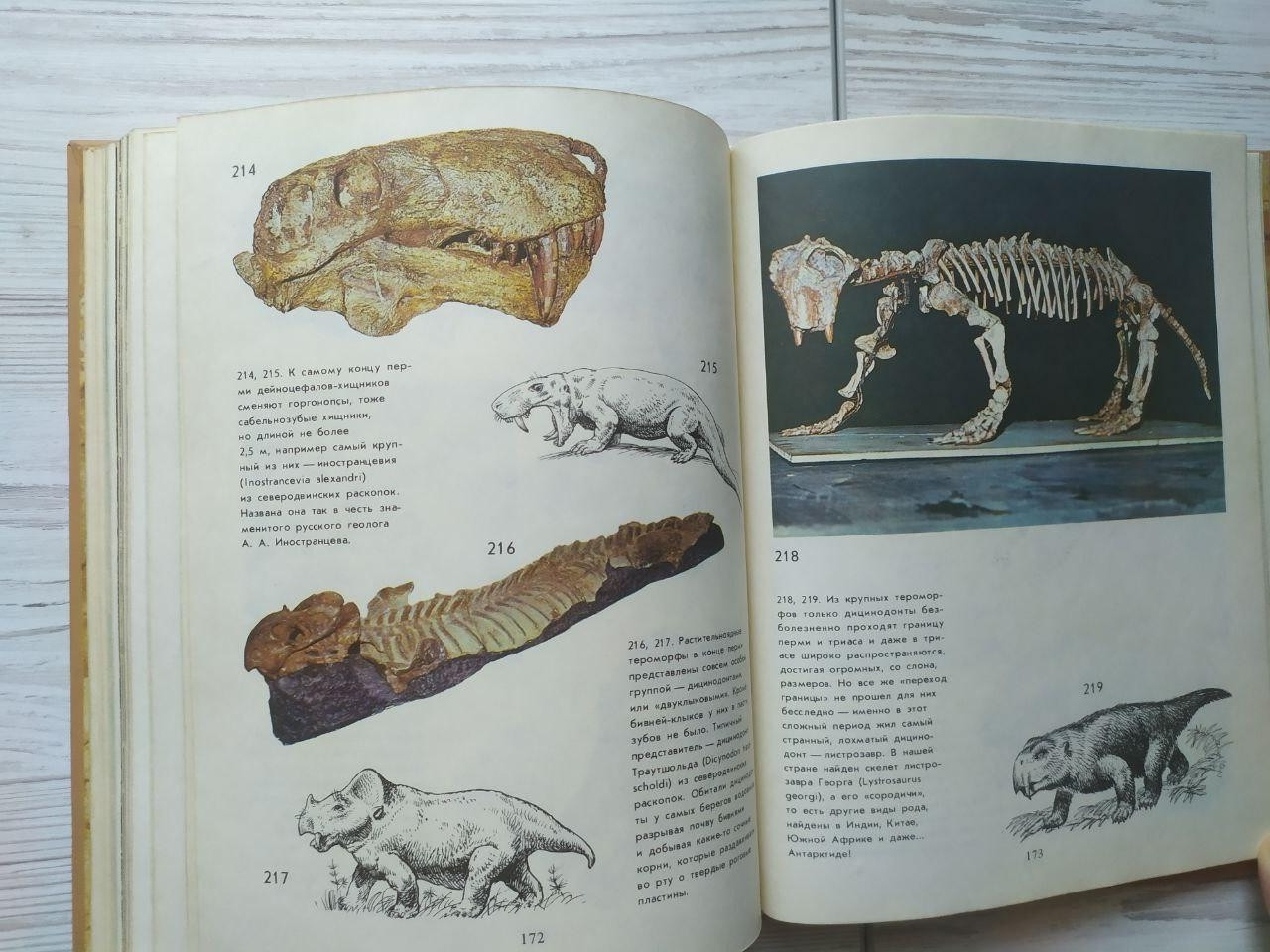 Product image preview