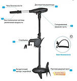 Haswing Protruar G 3 110 — електромотор човновий Хасвінг Протруар 3, фото 2