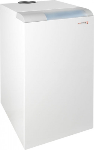 Газовий котел Protherm Ведмідь TLO 50, фото 1
