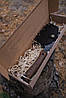 Тесак туристичний "Американський" ручної роботи | Подарунок для мисливця, фото 5