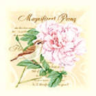 Серветка Luxy 33*33 3шар. Зваблива півонія 18шт/уп