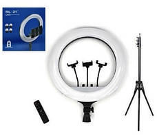 Кільцева LED лампа для студійного освітлення Ring RL-21 з пультом та штативом, фото 4