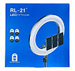 Кільцева LED лампа для студійного освітлення Ring RL-21 з пультом та штативом, фото 7