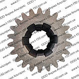 Шестірня 2 та 3 передачі Т-16, Z = 19x22, Т16.37.105А, фото 4