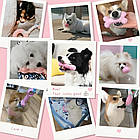 Набір іграшок для собак 6в1 "Рожевий мікс" / Іграшка для собак / Іграшка для тварин / Іграшка для цуценят, фото 6