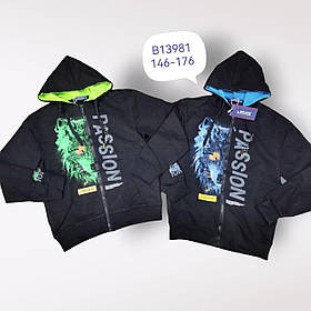 Пайта для хлопчиків оптом, Grace, 146-176 см, No В13981