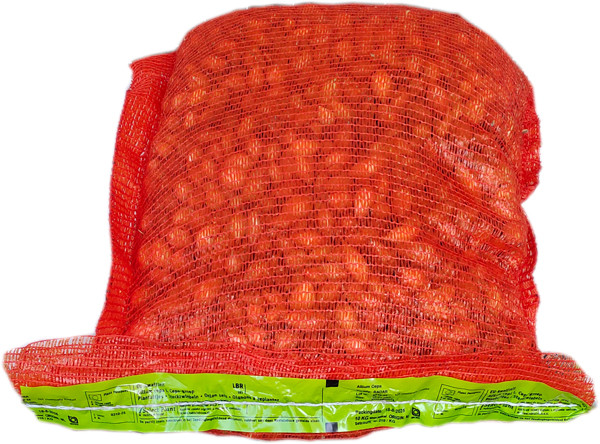 Озима цибуля сіянка Радар (Рейдер) мішок ( до 10 кг) фракція 10/21 BROER, фото 1