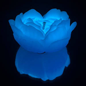 Cвiчка люмінісцентна низькотемпературна GlowKink блакитна, М