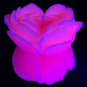 Cвiчка люмінісцентна низькотемпературна GlowKink рожева, L