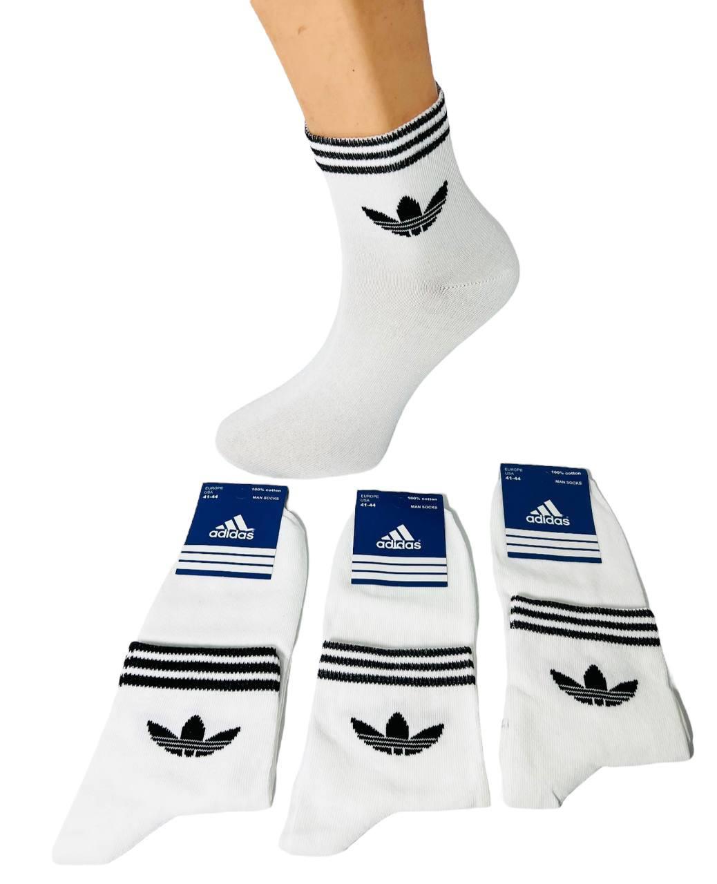 Шкарпетки чоловічі 12 пар демісезонні спортивні середні з бавовни Adidas розмір 41-44 білі