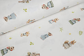 Ранфорс 240 см Звірята у вбраннях digital