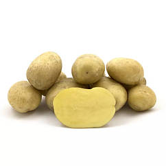 Насіннєва картопля Раномі (1 репродукція) Agrico 2,5 кг