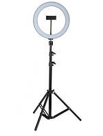 Кільцева світлодіодна лампа AL-33 зі штативом пультом і утримувачем для телефону селфи кільце