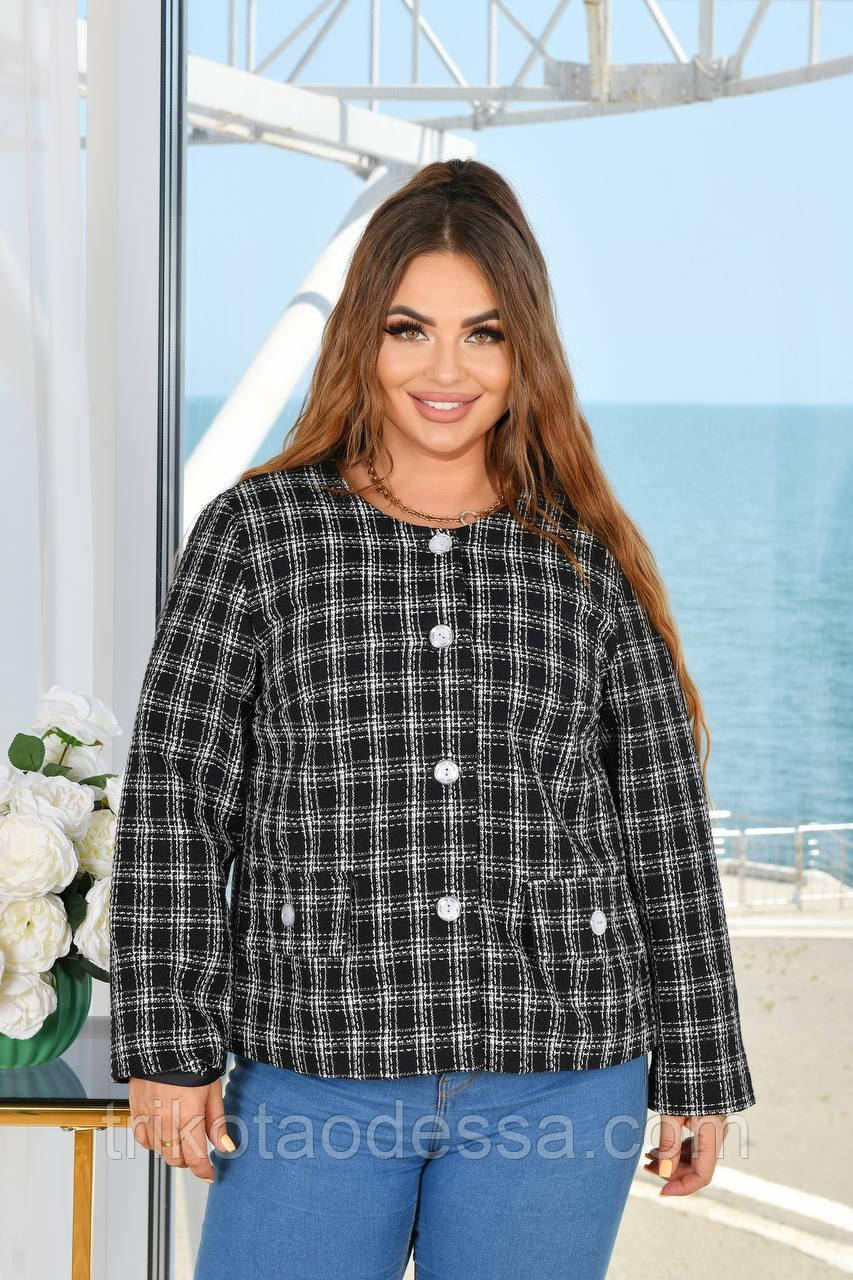 Піджак жіночий в клітинку на гудзиках 4412вл р.48-58 New батал, фото 1
