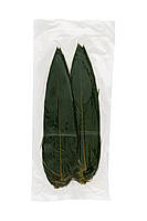 Лист бамбуку M