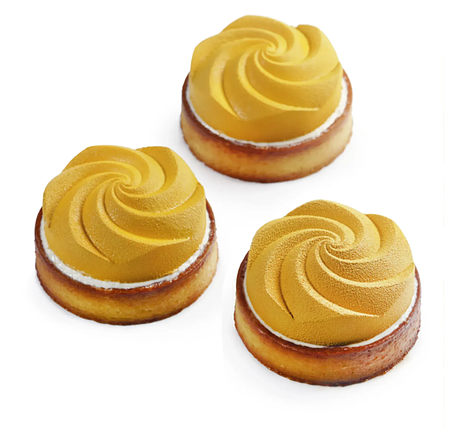 Форма-молд силіконова фабрична Small Spiral tarts, фото 1
