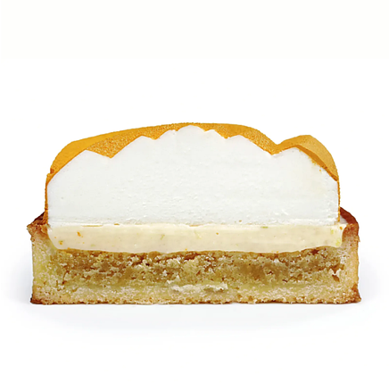 Форма-молд силіконова фабрична Small Spiral tarts, фото 2