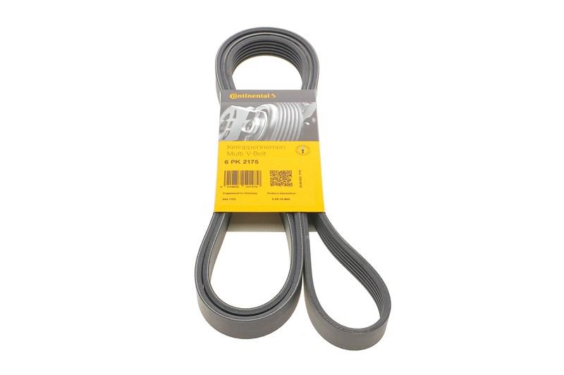 Полікліновий ремінь FORD FIESTA, FORD USA, CONTITECH (6PK2175), фото 1
