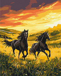 Картини за номерами BrushMe Нескорений біг (BS54424) 40 х 50 см