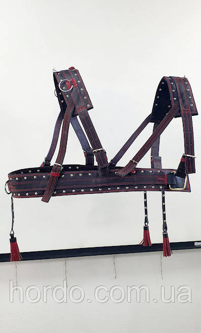 Шлея європейка шкіряна в закльопках і китичках, фото 1