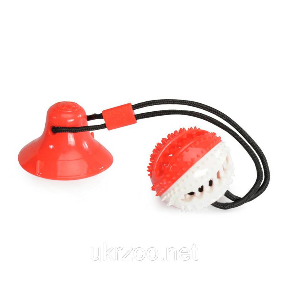 Іграшка для собак м'ячик з TPR з присоскою, 9,5 см 4 шт.упак (ціна за 1шт), фото 1