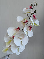 Штучна орхідея фаленопсис 3 D ( латекс 97 см), фото 10