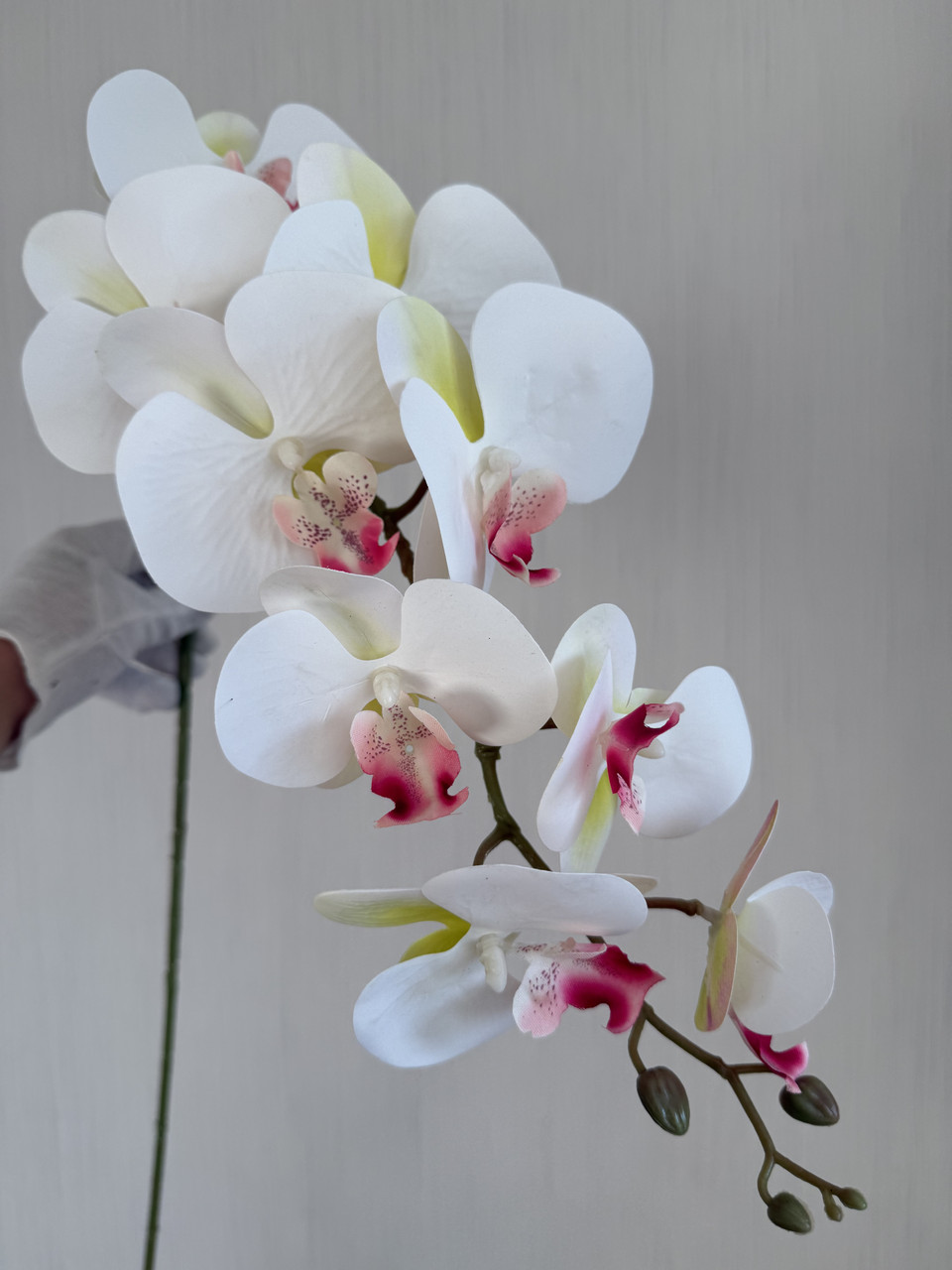 Штучна орхідея фаленопсис 3 D ( латекс 97 см), фото 1