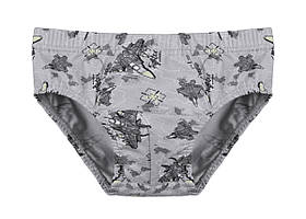 Труси для хлопчика, 4-5 років (зріст 110-116)