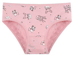 Трусики для дівчинки, 2-3 роки (зріст 98-104)