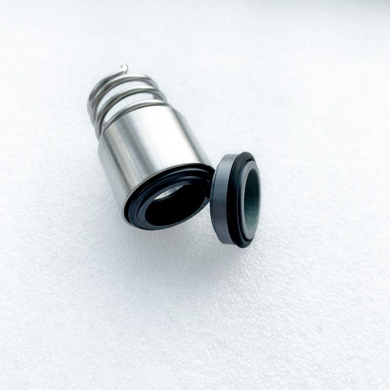 Торцеве ущільнення для насосів Lowara серії 10SV, 15SV, 22SV (eSV, SVI) - 16L, фото 1