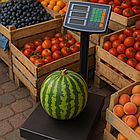 Ваги підлогові електронні TF-5100 до 150 кг з РК-дисплеєм та живленням від мережі 220В або акумулятора, фото 2