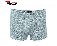 Труси на Хлопчика Боксери Стрейчеві Марка "INDENA" АРТ.21216, фото 5