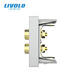 Аудіо розетка LIVOLO Banana Plug, сіра, для колонок / підсилювача, модуль 0.5 поста(VL-FCSD-1IP), фото 4