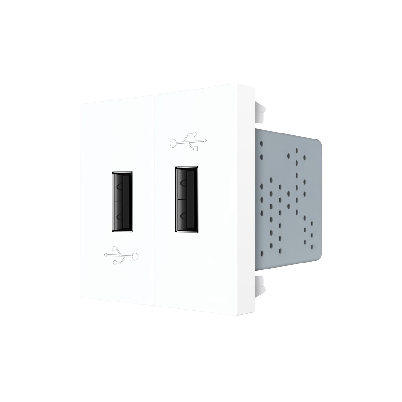 Подвійна розетка USB LIVOLO біла, з блоком живлення 2×USB-A 5V/2.1A, 2×10Вт, модуль (VL-FCUA-2WP), фото 1