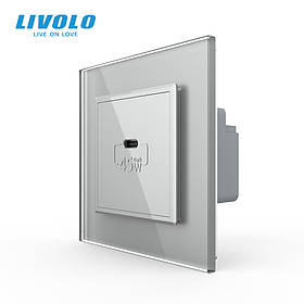 Розетка USB Type-C з Power Delivery 45W Livolo сірий (VL-C7-FCUC-2IP)