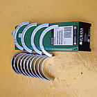 Вкладки Д240 Н1 корінь, Юбана