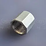 Заглушка муфтова нержавіюча DN8 (1/4") шестигранна, внутрішня різьба BSPP, н/ж сталь AISI304, Class 150, фото 8