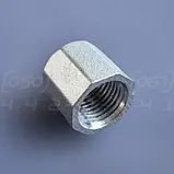Заглушка муфтова нержавіюча DN8 (1/4") шестигранна, внутрішня різьба BSPP, н/ж сталь AISI304, Class 150, фото 7