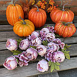 Штучні квіти. Гілка півонії 68 см пудровий, фото 2