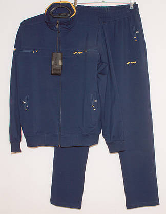 Чоловічий спортивний костюм з прямими брюками Fore L,XL,XXL, 3XL, фото 2