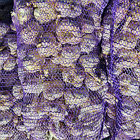 Часник Любаша (зубковий)