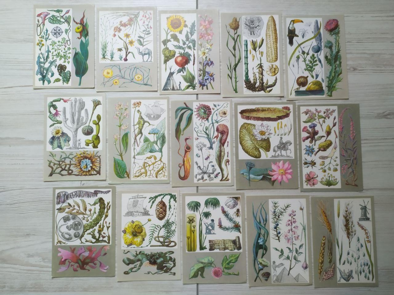 Product image preview