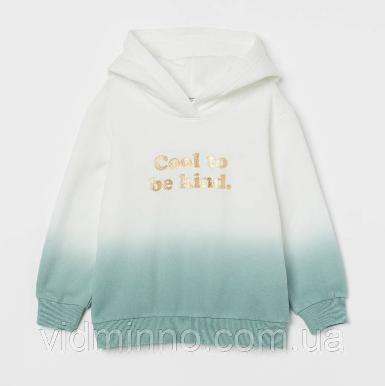 Утеплена толстовка худи (на флісі) H&M на дівчинку р.110-116, 4-6 років, фото 1