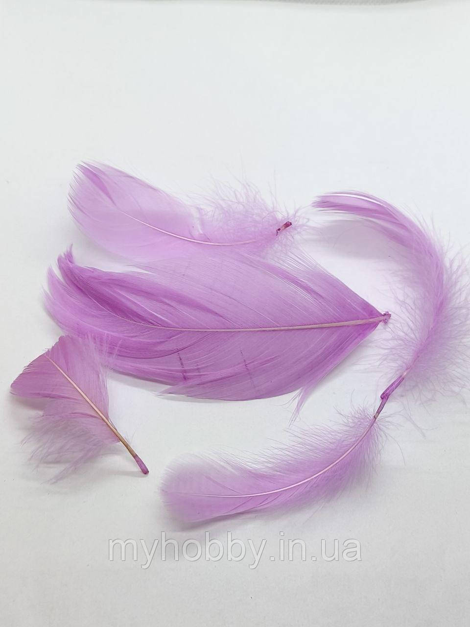 Декоративне Пір'я 5-10см Рожеві -5шт, фото 1