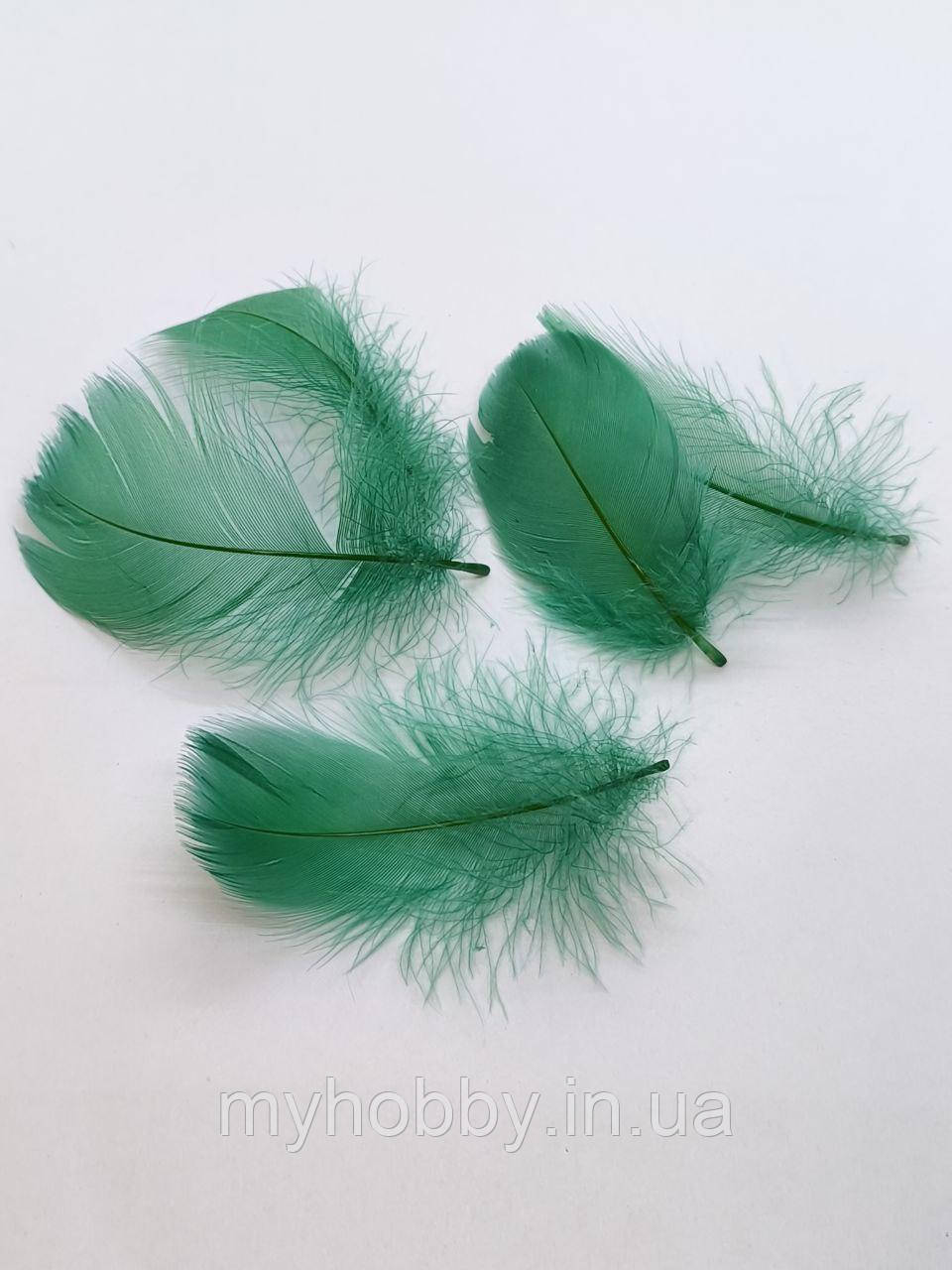 Декоративне Пір'я 5-10см Зелене -5шт, фото 1