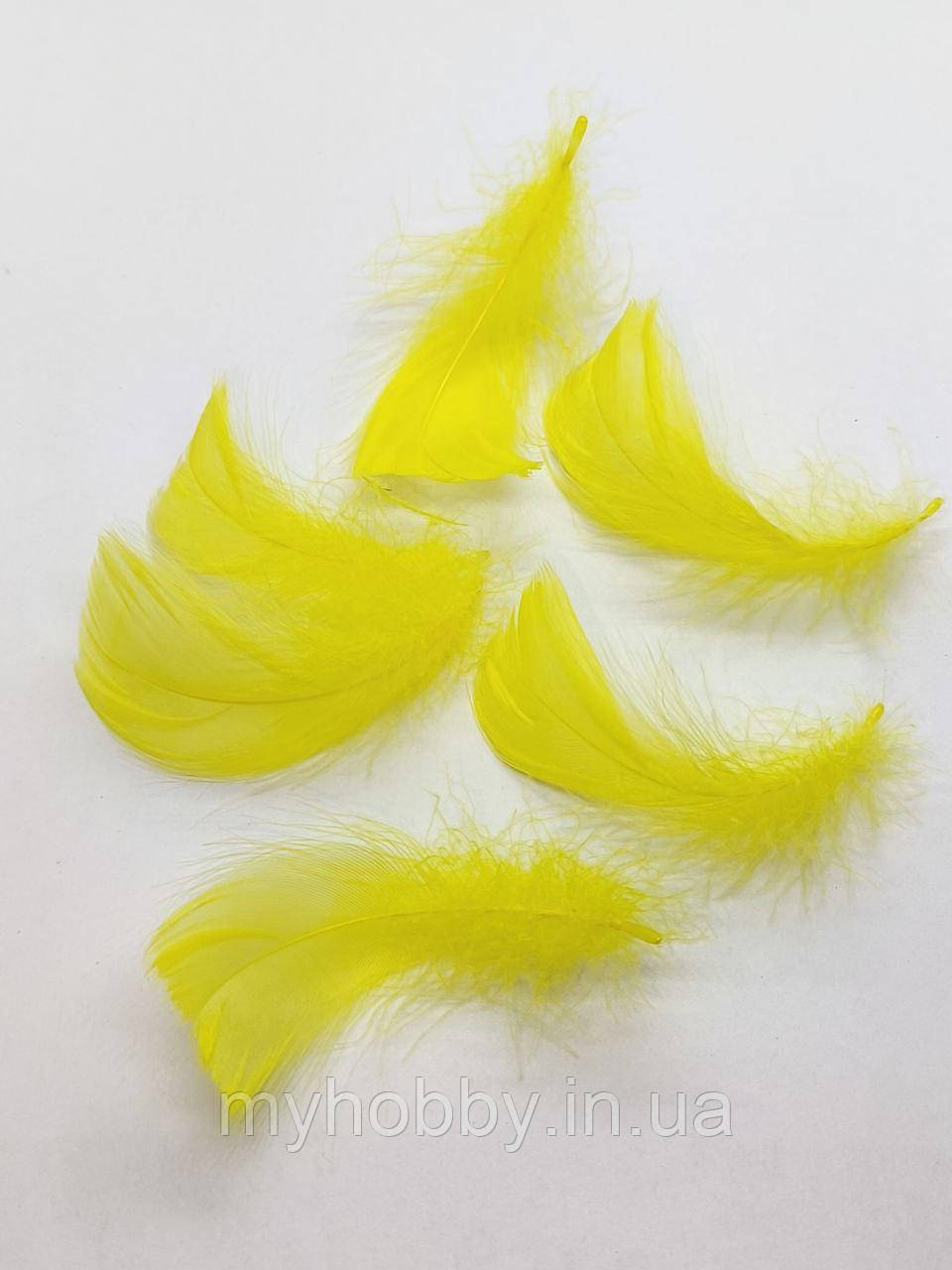 Декоративне Пір'я 5-10см Жовте -5шт, фото 1